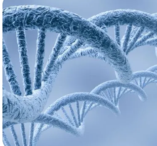 新的 CRISPR 基因組編輯技術(shù)幫助科學家探索許多與癌癥相關(guān)的突變