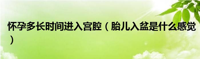 懷孕多長時間進(jìn)入宮腔（胎兒入盆是什么感覺）