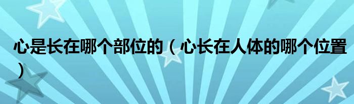 心是長在哪個部位的（心長在人體的哪個位置）