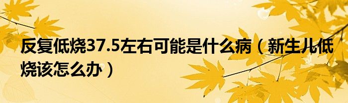 反復(fù)低燒37.5左右可能是什么?。ㄐ律鷥旱蜔撛趺崔k）