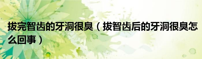 拔完智齒的牙洞很臭（拔智齒后的牙洞很臭怎么回事）