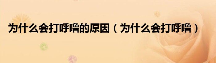 為什么會打呼嚕的原因（為什么會打呼嚕）