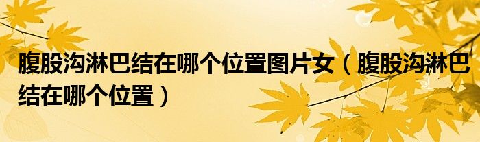 腹股溝淋巴結(jié)在哪個(gè)位置圖片女（腹股溝淋巴結(jié)在哪個(gè)位置）