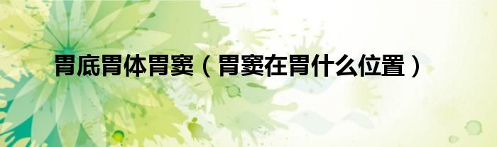 胃底胃體胃竇（胃竇在胃什么位置）