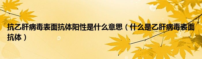 抗乙肝病毒表面抗體陽(yáng)性是什么意思（什么是乙肝病毒表面抗體）