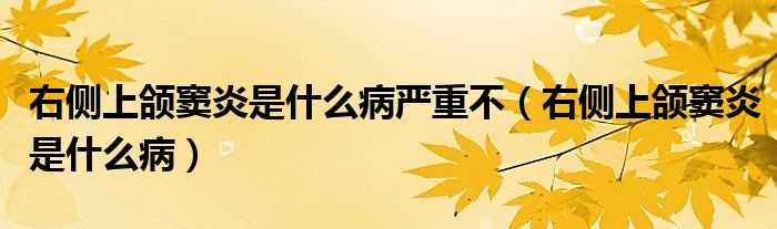 右側(cè)上頜竇炎是什么病嚴(yán)重不（右側(cè)上頜竇炎是什么?。?class='thumb lazy' /></a>
		    <header>
		<h2><a  href=