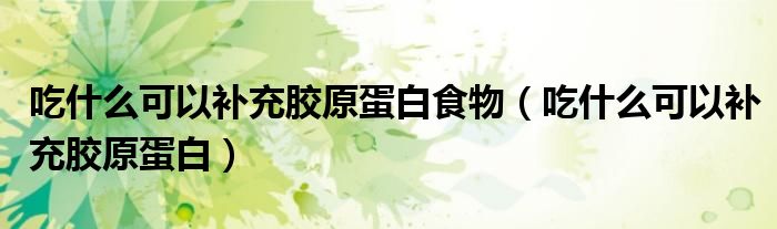 吃什么可以補(bǔ)充膠原蛋白食物（吃什么可以補(bǔ)充膠原蛋白）