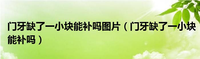 門(mén)牙缺了一小塊能補(bǔ)嗎圖片(門(mén)牙缺了一小塊能補(bǔ)嗎)