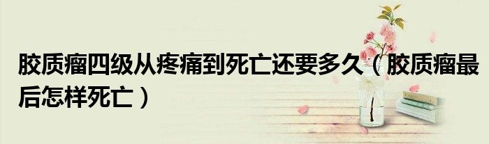 膠質(zhì)瘤四級(jí)從疼痛到死亡還要多久(膠質(zhì)瘤最后怎樣死亡)