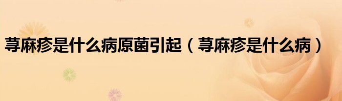 蕁麻疹是什么病原菌引起（蕁麻疹是什么?。?class='thumb lazy' /></a>
		    <header>
		<h2><a  href=