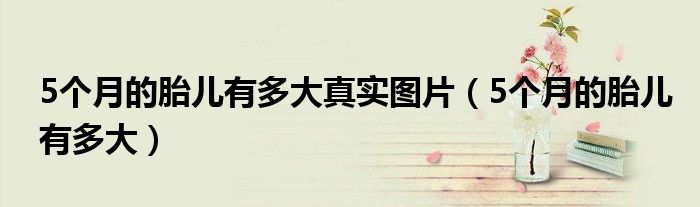 5個(gè)月的胎兒有多大真實(shí)圖片（5個(gè)月的胎兒有多大）