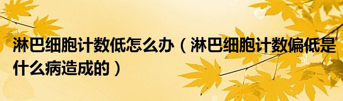 淋巴細胞計數低怎么辦（淋巴細胞計數偏低是什么病造成的）