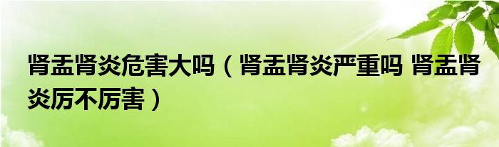 腎盂腎炎危害大嗎（腎盂腎炎嚴重嗎 腎盂腎炎厲不厲害）