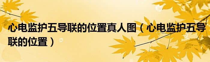 心電監(jiān)護(hù)五導(dǎo)聯(lián)的位置真人圖(心電監(jiān)護(hù)五導(dǎo)聯(lián)的位置)
