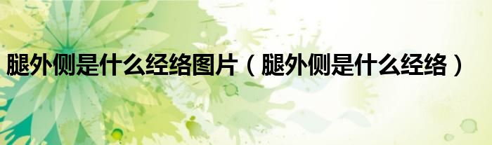 腿外側(cè)是什么經(jīng)絡(luò)圖片（腿外側(cè)是什么經(jīng)絡(luò)）