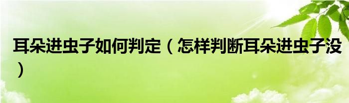 耳朵進(jìn)蟲子如何判定（怎樣判斷耳朵進(jìn)蟲子沒）