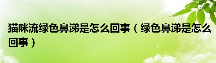 貓咪流綠色鼻涕是怎么回事（綠色鼻涕是怎么回事）