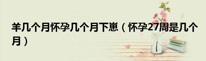 羊幾個(gè)月懷孕幾個(gè)月下崽(懷孕27周是幾個(gè)月)