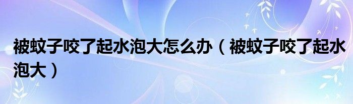 被蚊子咬了起水泡大怎么辦（被蚊子咬了起水泡大）