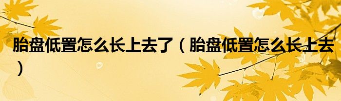 胎盤低置怎么長上去了（胎盤低置怎么長上去）