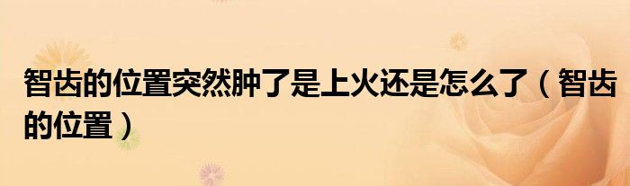 智齒的位置突然腫了是上火還是怎么了（智齒的位置）