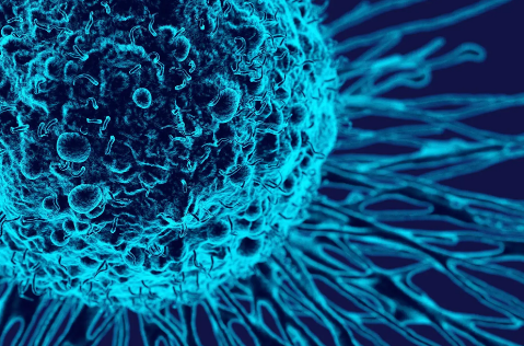 斯坦?？茖W家確定與家族性腦癌相關(guān)的基因