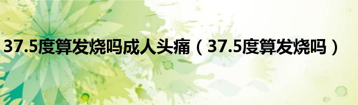 37.5度算發(fā)燒嗎成人頭痛(37.5度算發(fā)燒嗎)