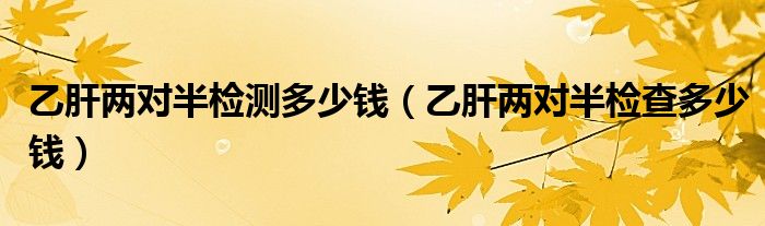 乙肝兩對半檢測多少錢（乙肝兩對半檢查多少錢）
