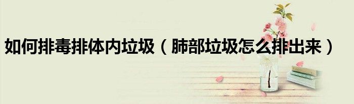 如何排毒排體內(nèi)垃圾(肺部垃圾怎么排出來)
