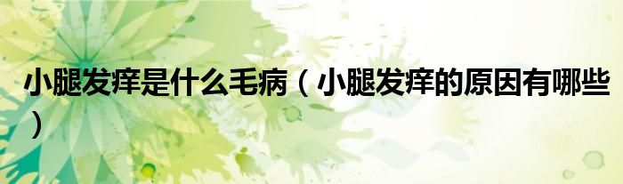 小腿發(fā)癢是什么毛?。ㄐ⊥劝l(fā)癢的原因有哪些）