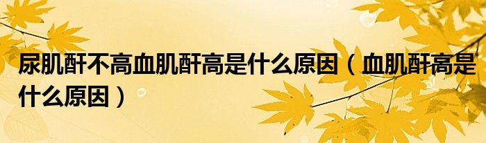 尿肌酐不高血肌酐高是什么原因(血肌酐高是什么原因)