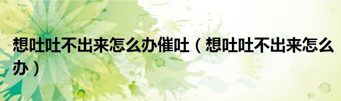 想吐吐不出來(lái)怎么辦催吐(想吐吐不出來(lái)怎么辦)
