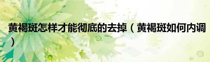 黃褐斑怎樣才能徹底的去掉(黃褐斑如何內(nèi)調(diào))