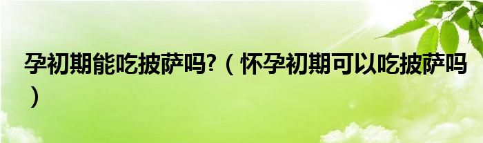 孕初期能吃披薩嗎?（懷孕初期可以吃披薩嗎）