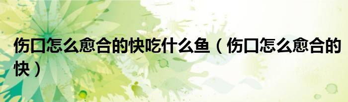 傷口怎么愈合的快吃什么魚(傷口怎么愈合的快)