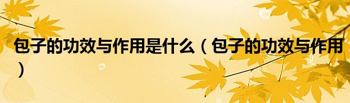 包子的功效與作用是什么(包子的功效與作用)