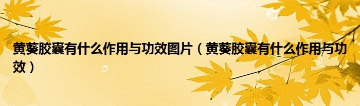 黃葵膠囊有什么作用與功效圖片(黃葵膠囊有什么作用與功效)