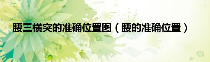 腰三橫突的準(zhǔn)確位置圖(腰的準(zhǔn)確位置)