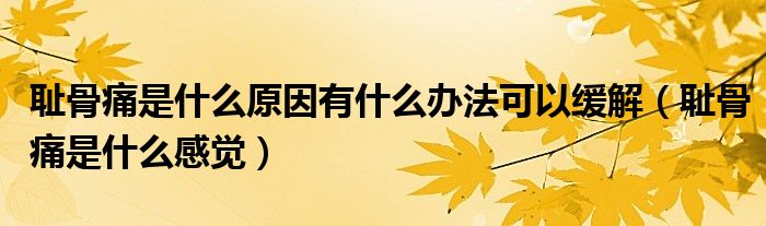 恥骨痛是什么原因有什么辦法可以緩解（恥骨痛是什么感覺）