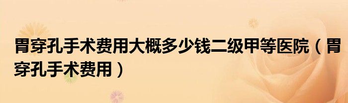 胃穿孔手術(shù)費(fèi)用大概多少錢二級甲等醫(yī)院(胃穿孔手術(shù)費(fèi)用)