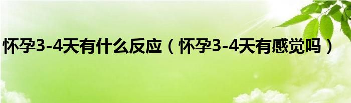 懷孕3-4天有什么反應(yīng)（懷孕3-4天有感覺(jué)嗎）