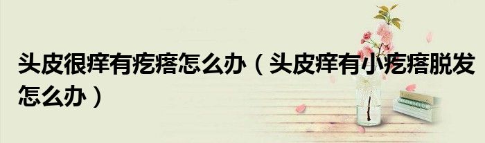 頭皮很癢有疙瘩怎么辦（頭皮癢有小疙瘩脫發(fā)怎么辦）