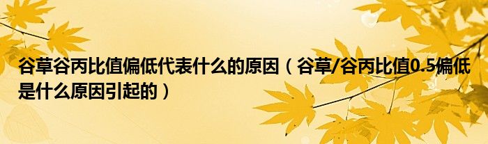 谷草谷丙比值偏低代表什么的原因（谷草/谷丙比值0.5偏低是什么原因引起的）