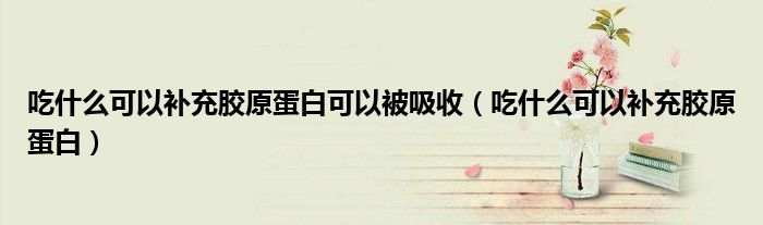 吃什么可以補(bǔ)充膠原蛋白可以被吸收(吃什么可以補(bǔ)充膠原蛋白)