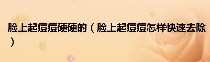 臉上起痘痘硬硬的（臉上起痘痘怎樣快速去除）