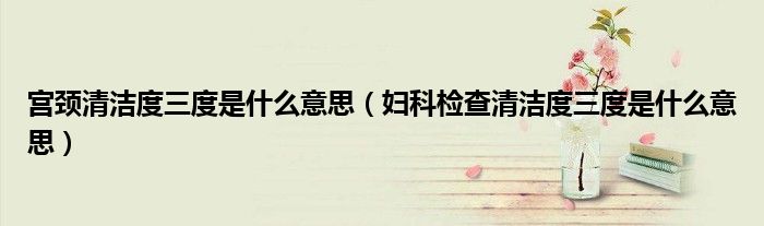 宮頸清潔度三度是什么意思（婦科檢查清潔度三度是什么意思）