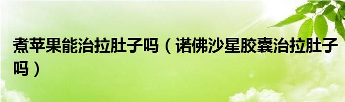煮蘋果能治拉肚子嗎(諾佛沙星膠囊治拉肚子嗎)