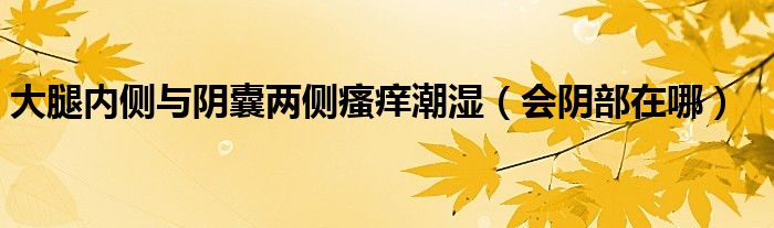 大腿內(nèi)側(cè)與陰囊兩側(cè)瘙癢潮濕(會(huì)陰部在哪)