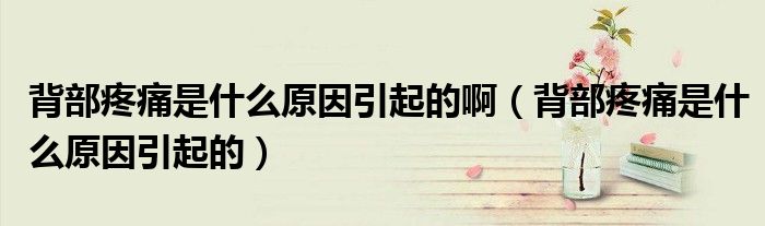 背部疼痛是什么原因引起的?。ū巢刻弁词鞘裁丛蛞鸬模?class='thumb lazy' /></a>
		    <header>
		<h2><a  href=