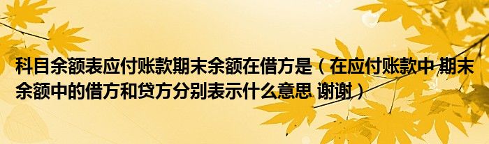 科目余額表應(yīng)付賬款期末余額在借方是（在應(yīng)付賬款中 期末余額中的借方和貸方分別表示什么意思 謝謝）